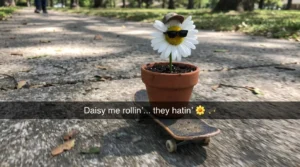 flower caption puns