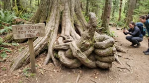 nature caption puns